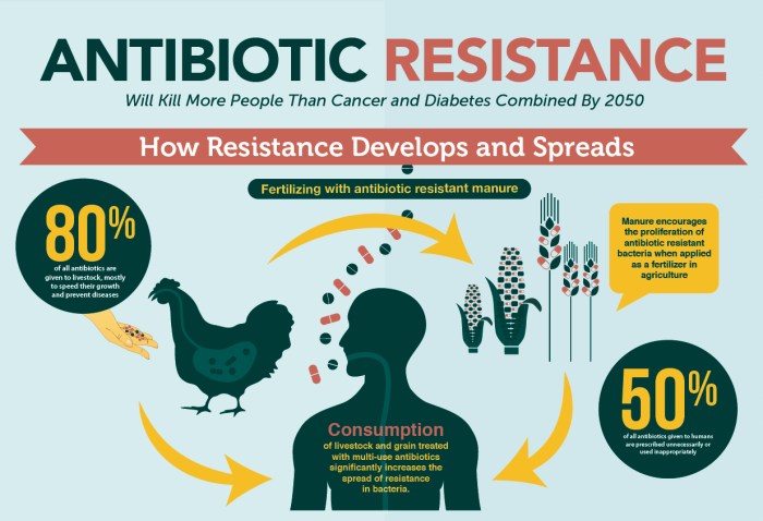 Antibiotic resistance brain pop video