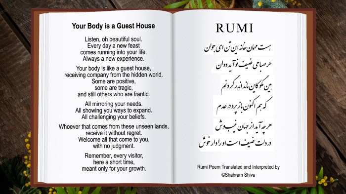Rumi the guest house analysis