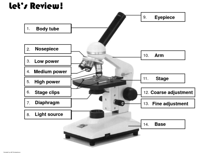 Microscope diagram crossword answer key