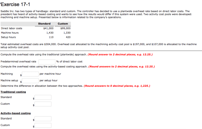 Has exercise two inc saddle types solved handbags standard custom controller decided use answer overhead cost activity rate labor direct