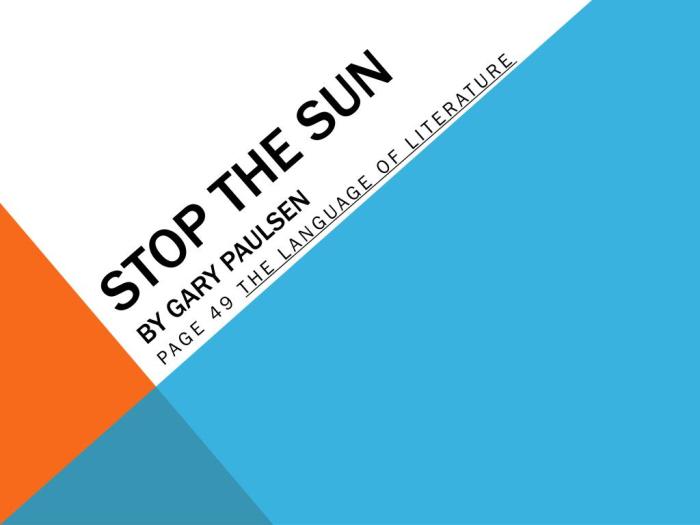 Stop the sun gary paulsen