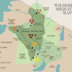 Population regulation in the serengeti answer key