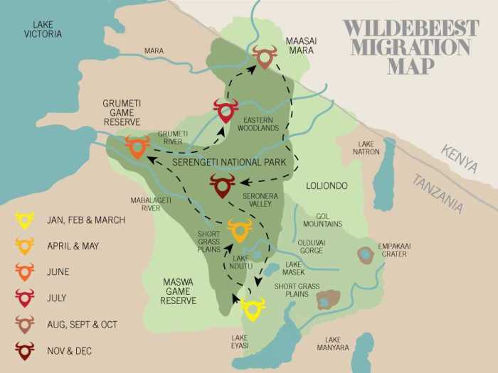 Population regulation in the serengeti answer key