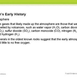 Chapter 14 section 1 fossil evidence of change