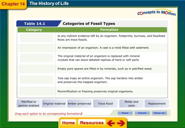 Chapter 14 section 1 fossil evidence of change